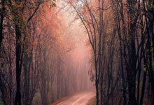 小男孩用可乐水瓶钓鱼，结果收获满满.