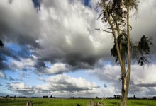 中超：成都蓉城队1-0力克武汉三镇队.