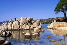 征途国际：2025“兵甲球杆”杯大学生中式台球公开赛2025-03-29.